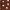 Estampado beige