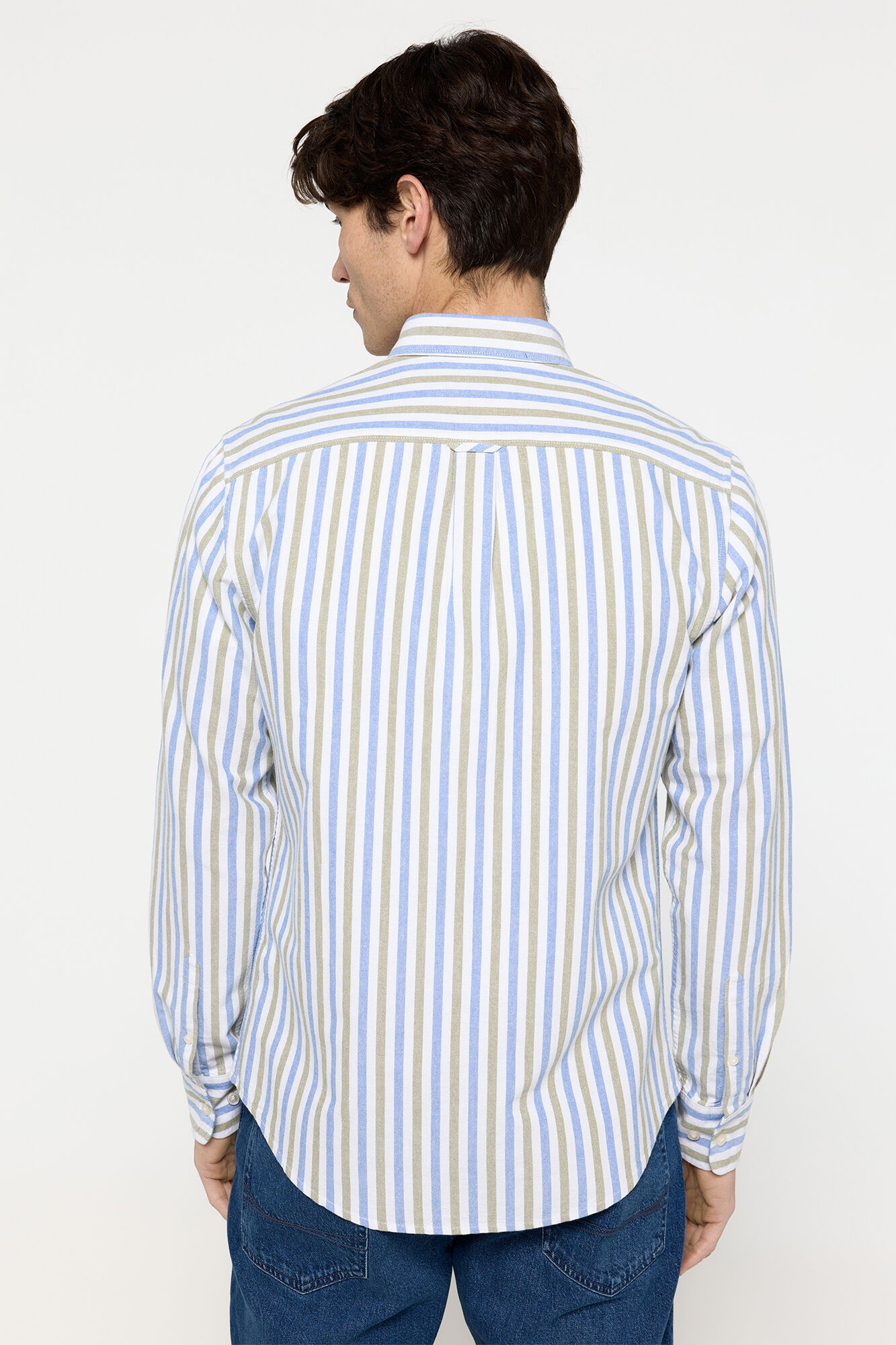 Milano Camisa Oxford Rayas Verde