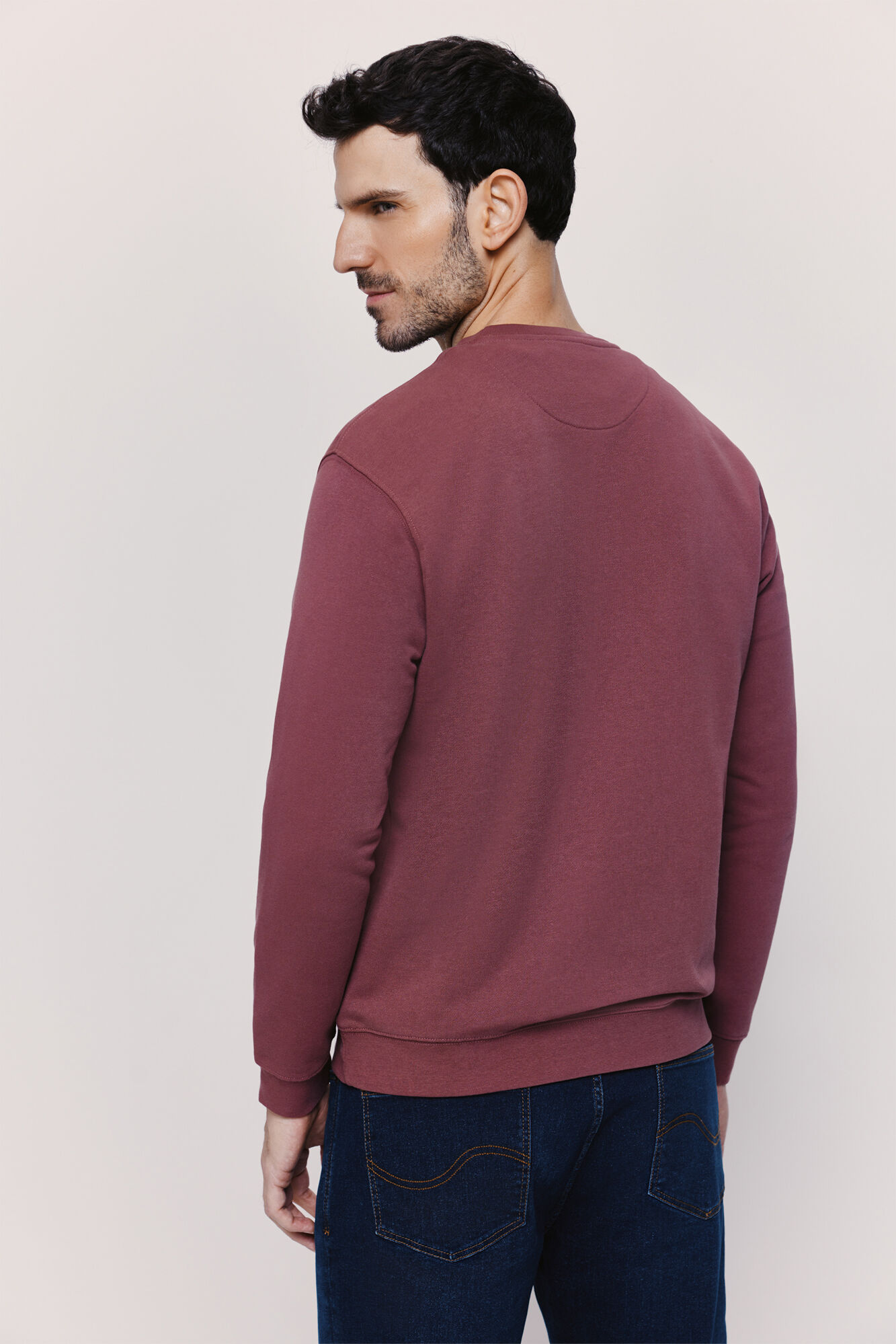 Springfield Sudadera cuello redondo con logo Vino