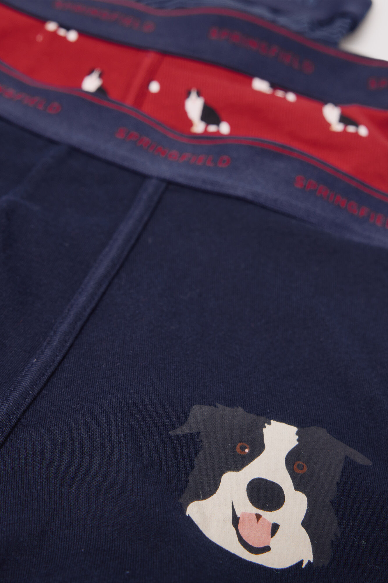 Springfield Pack 5 b&oacute;xeres algod&oacute;n estampados rojo