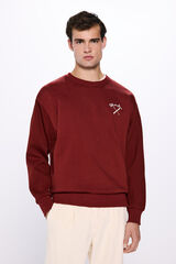 Springfield Sudadera sky Des Alpes