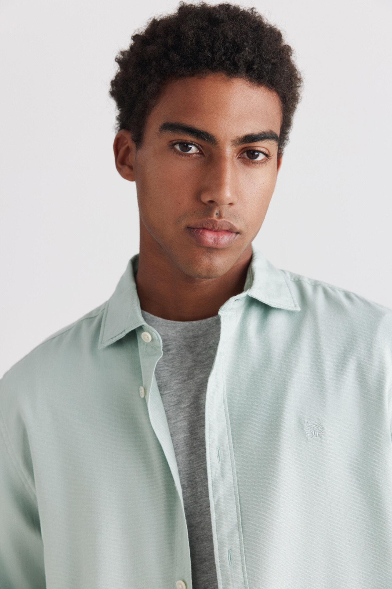 Springfield Camisa de estructura verde