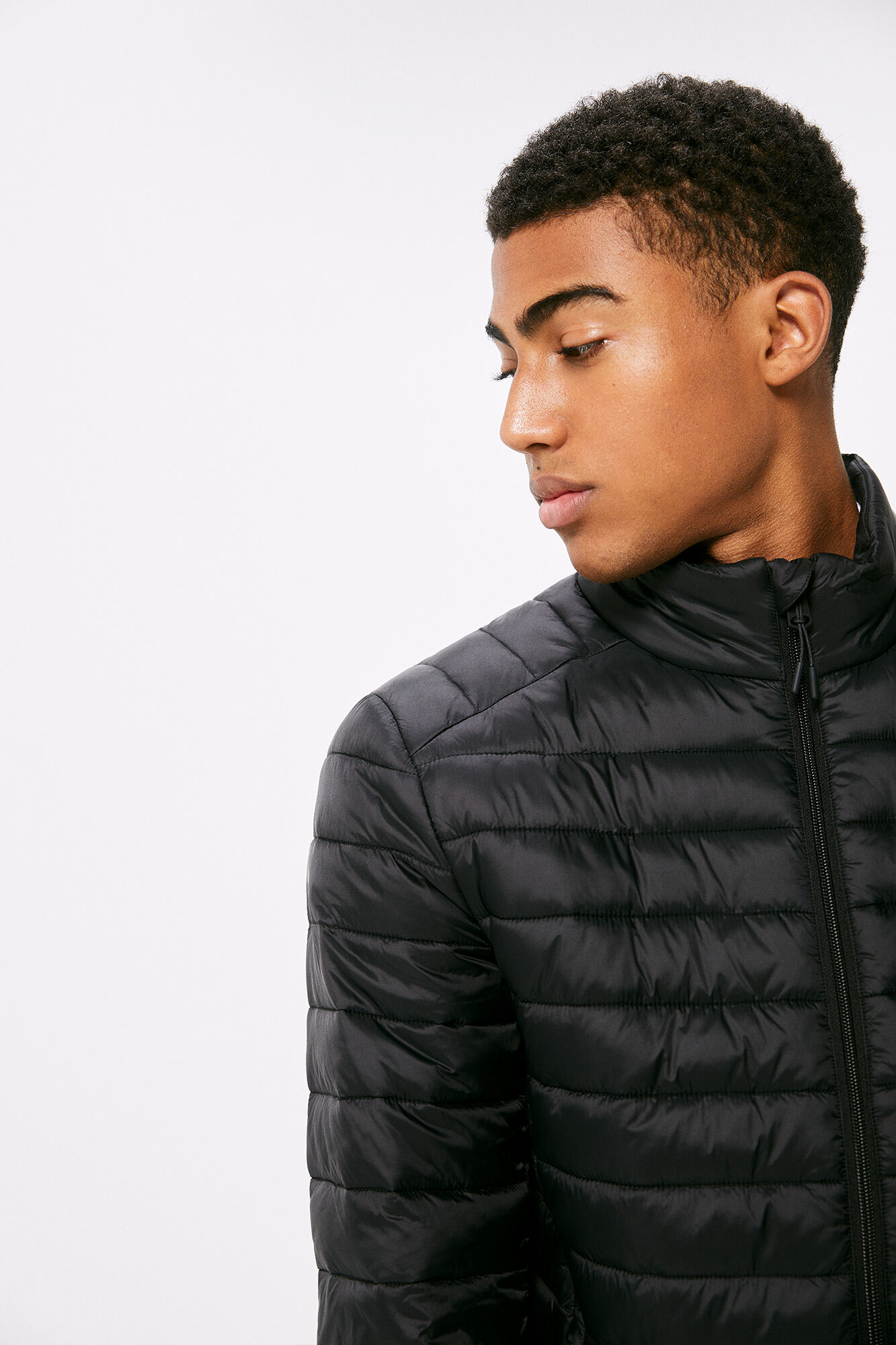 Springfield Chamarra acolchada negro