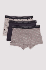 Springfield Pack 3 bóxeres gatos y pescados gris
