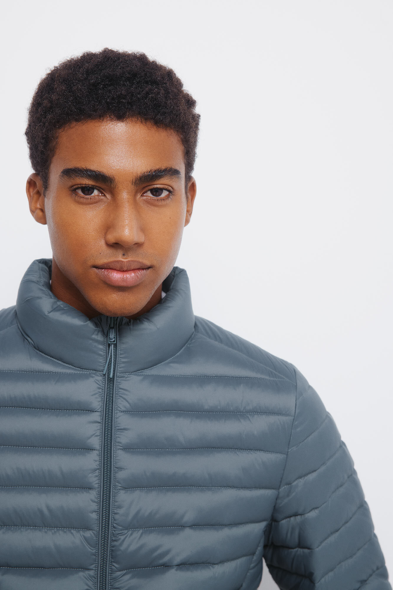 Springfield Plum&iacute;fero