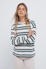 Springfield Jersey chenilla doble raya caza oscuro