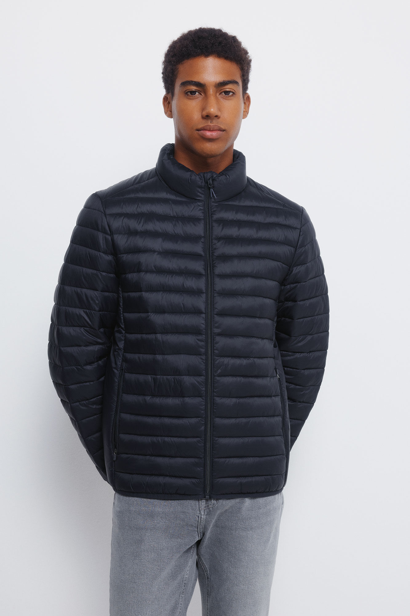 Springfield Plum&iacute;fero marino