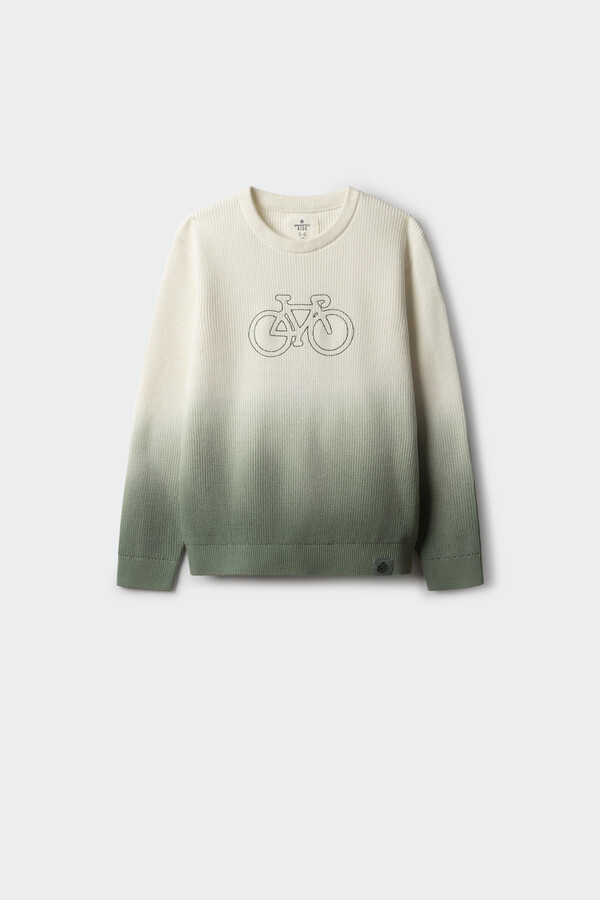 Springfield Kids Suéter dipdye niño verde