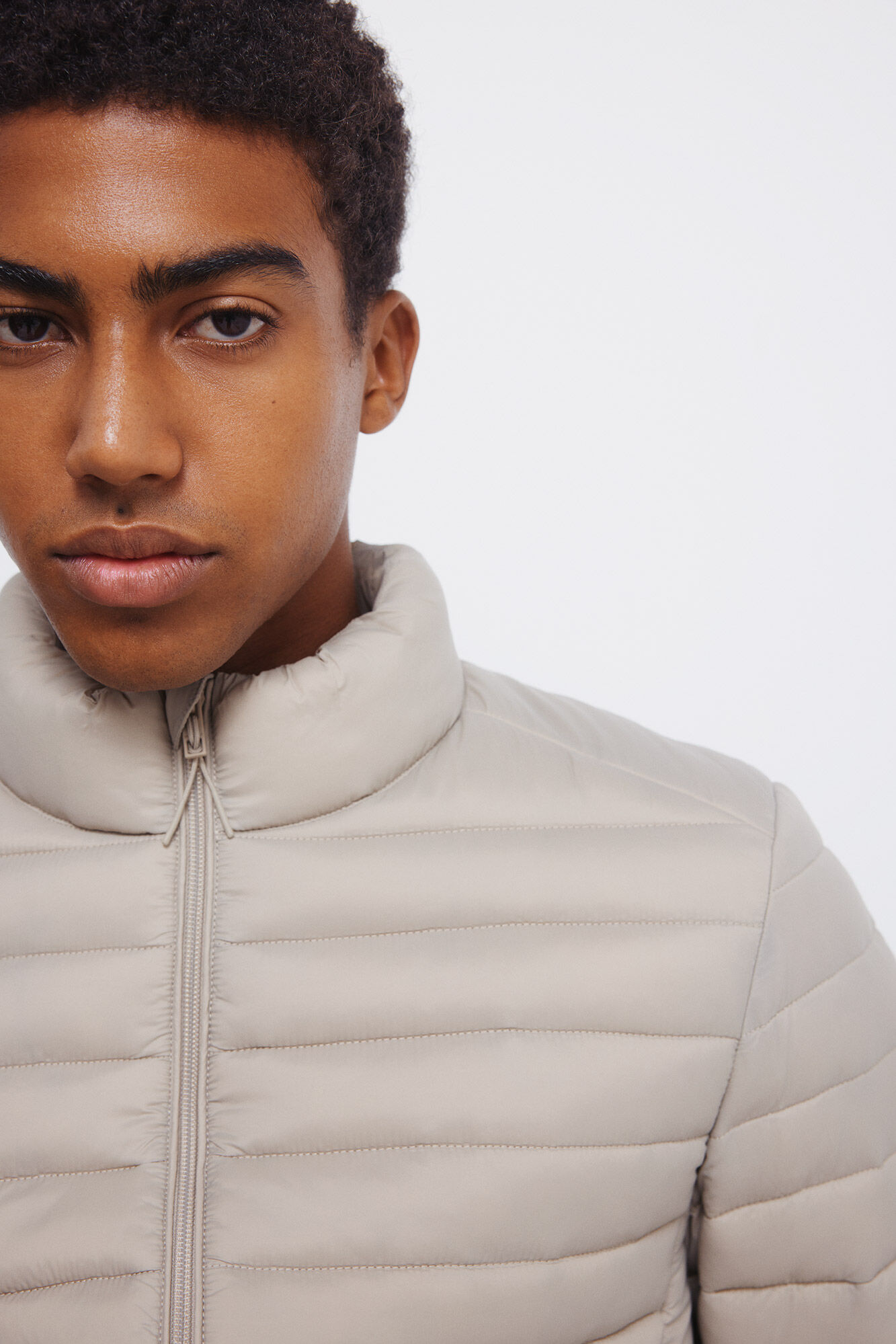 Springfield Plum&iacute;fero