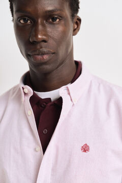 Springfield Camisa oxford rayas rojo
