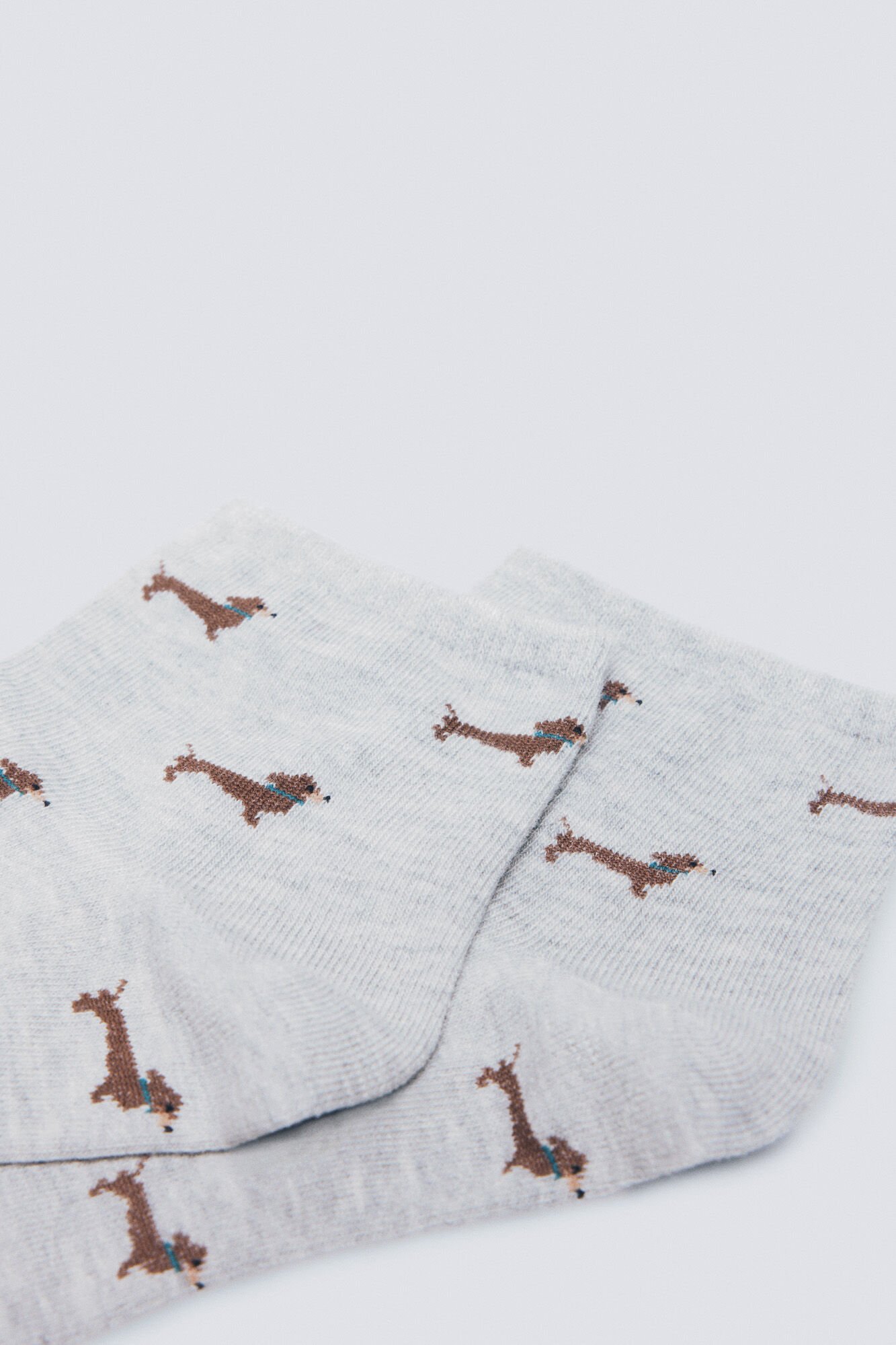 Springfield Calcet&iacute;n short para perros