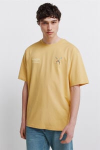 Springfield Playera waves