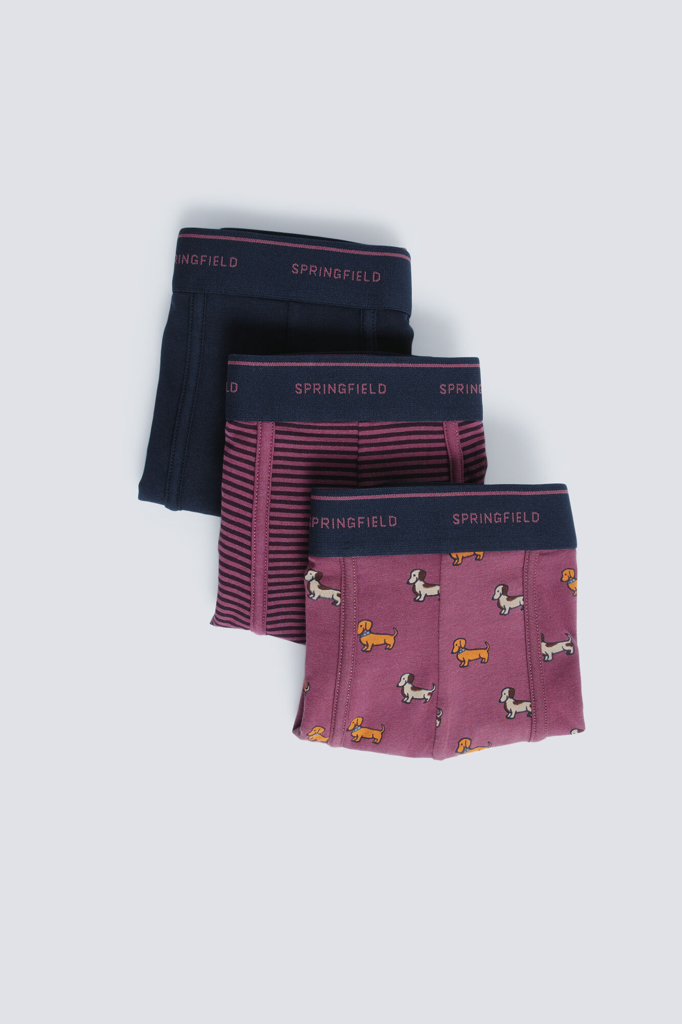 Springfield Pack de 3 perros boxer y rayas