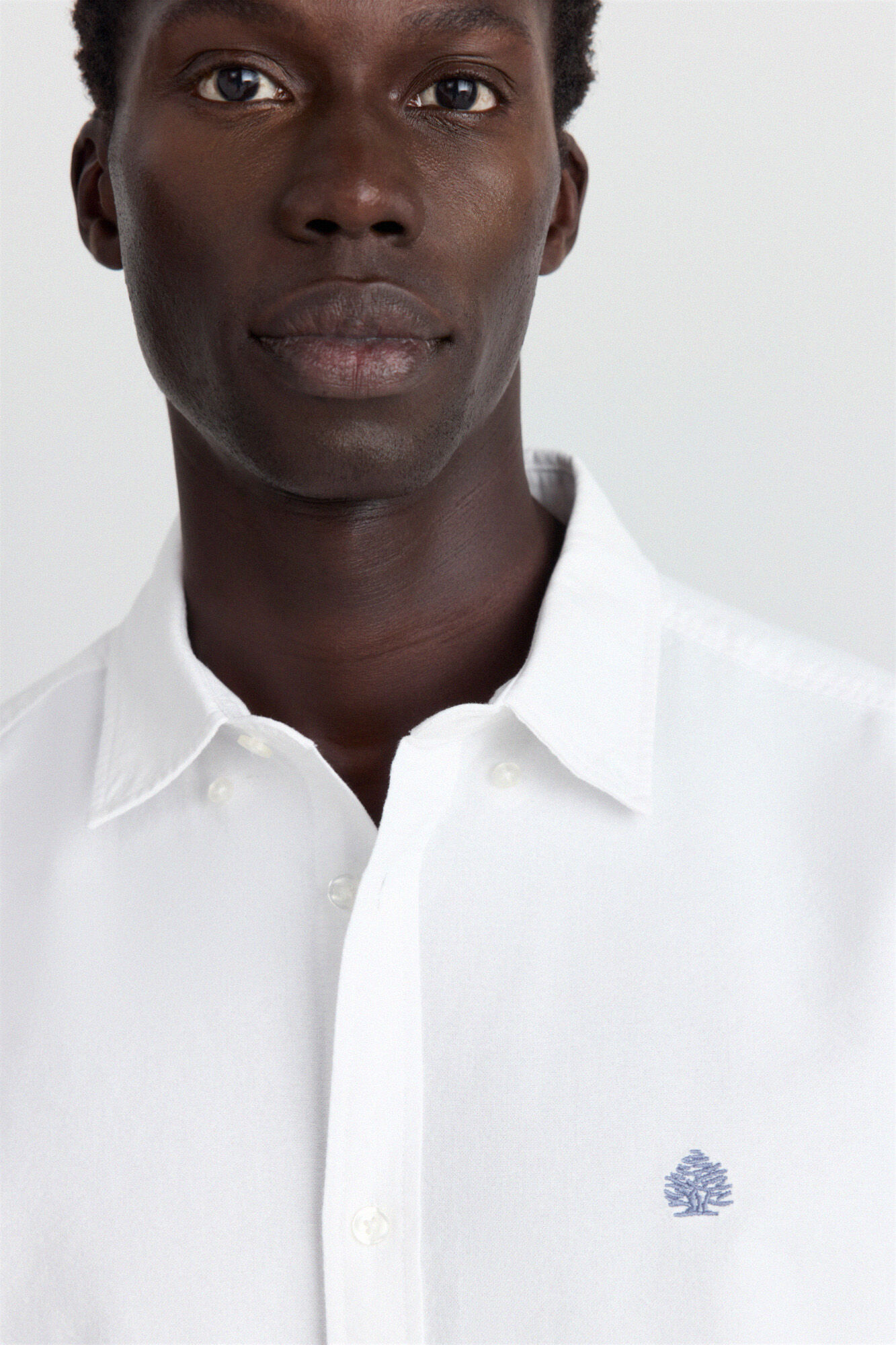 Springfield Camisa oxford natural