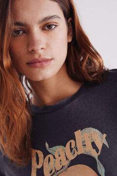 Springfield Playera gráfica frutas gris