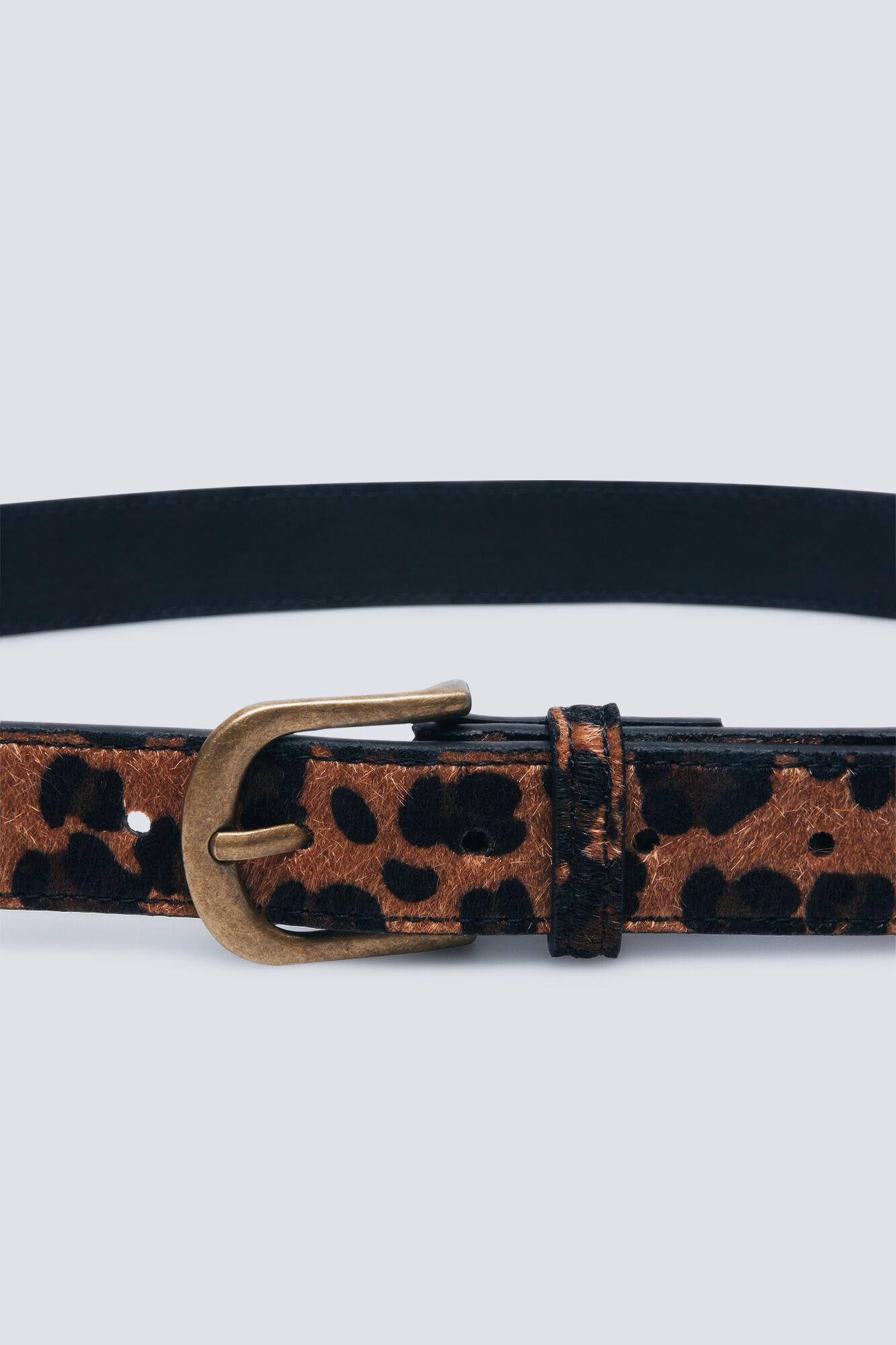 Springfield Cintur&oacute;n estampado animal estampado