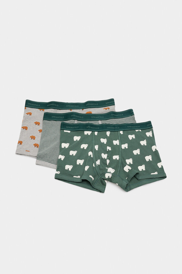 Springfield Pack de 3 boxers estampado osos verde