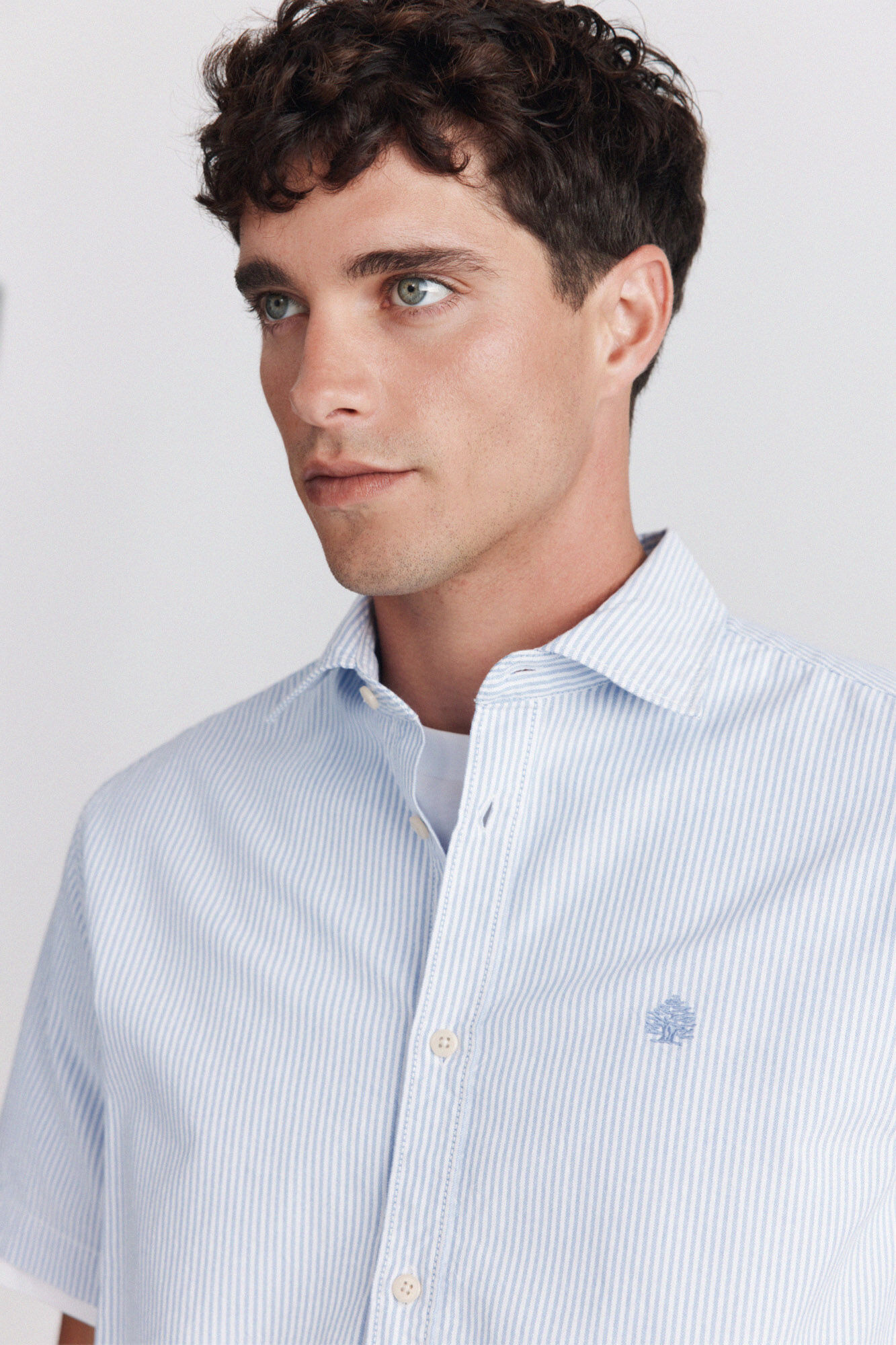 Springfield Camisa de manga corta oxford a rayas