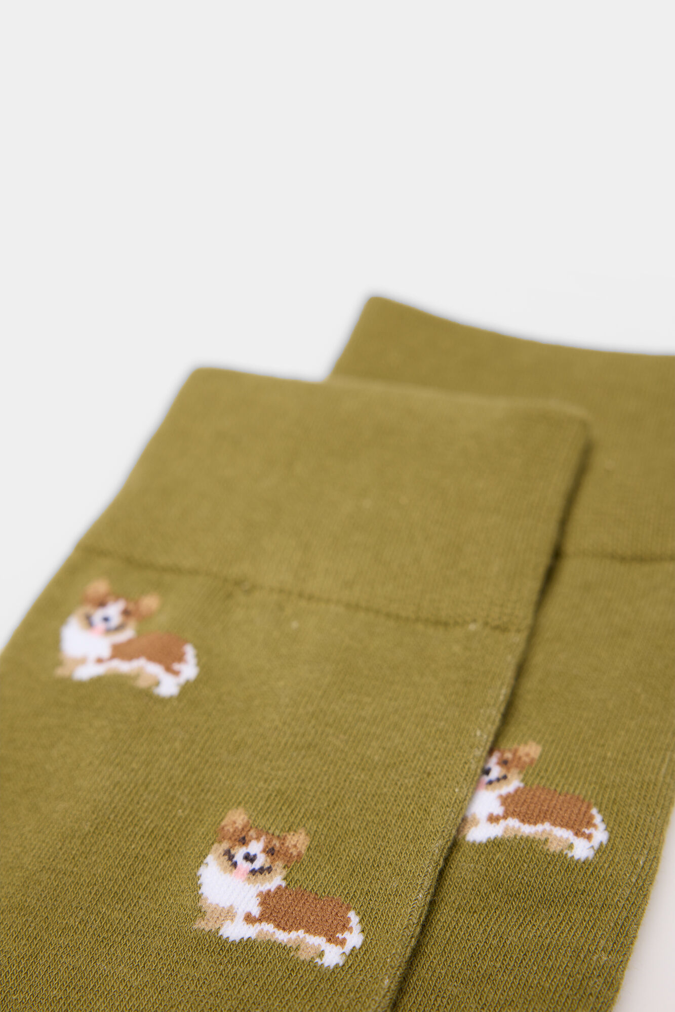 Springfield Calcet&iacute;n perros corgy kaki