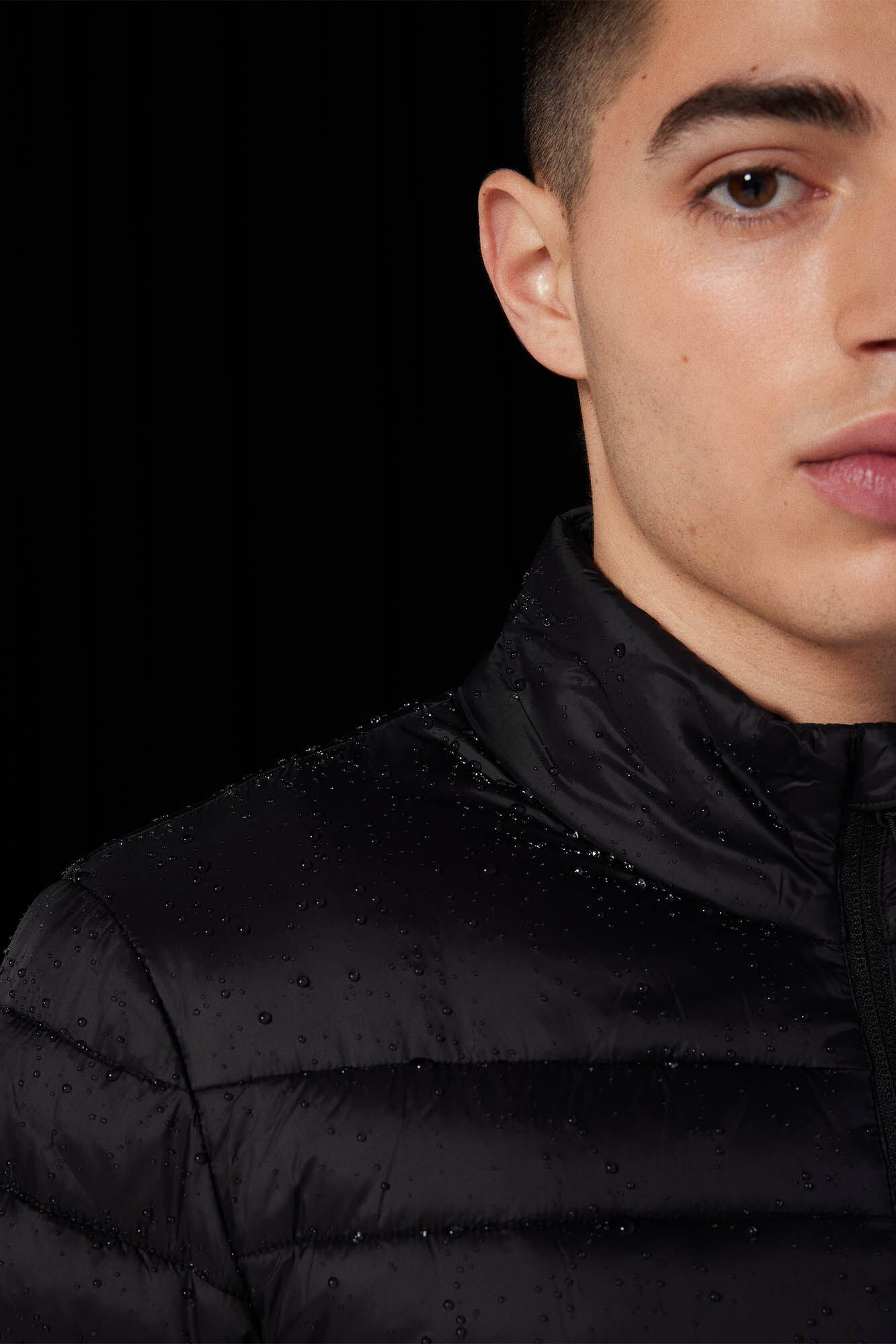 Springfield Chamarra acolchada combinada negro