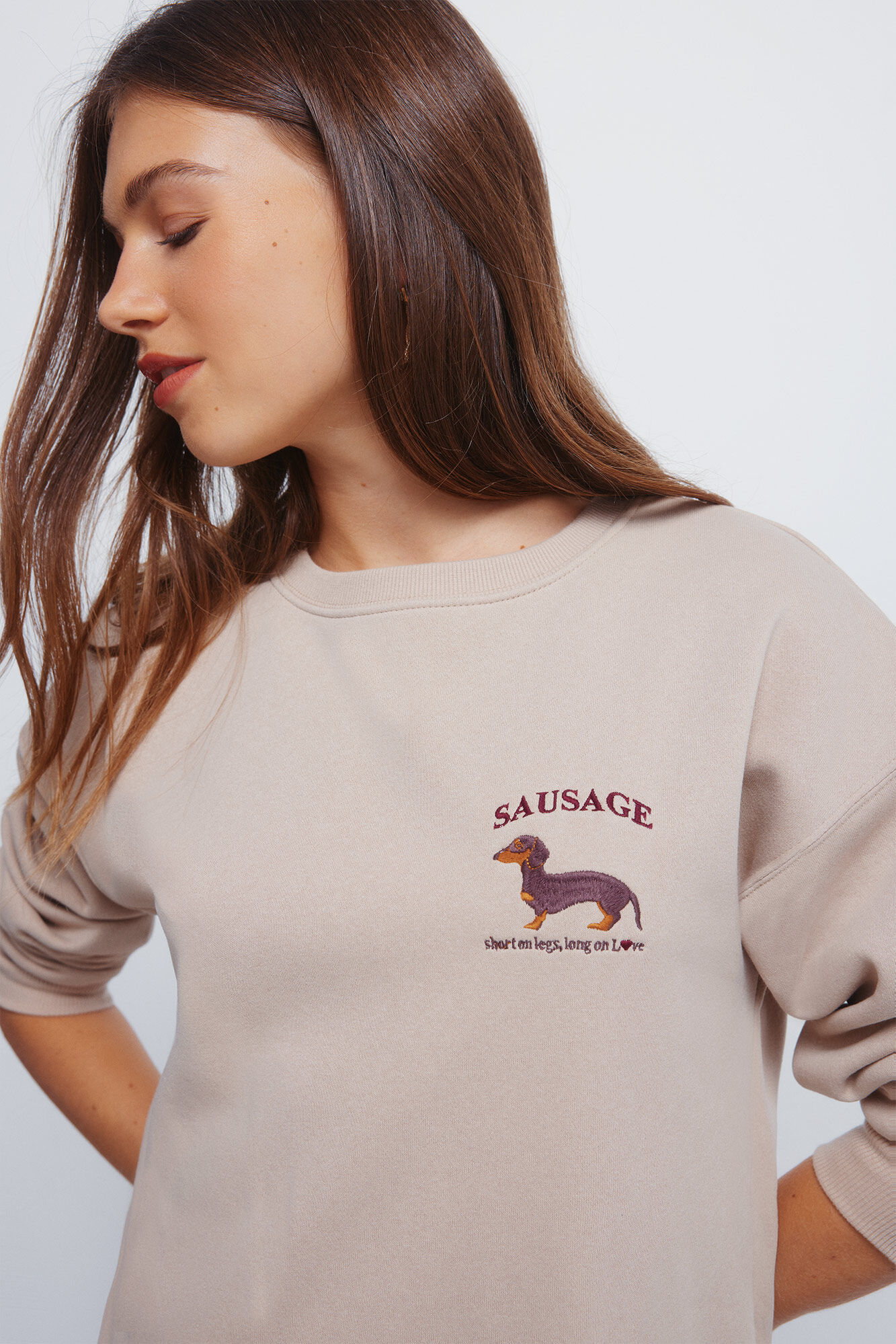 Springfield Sudadera con perro salchicha caf&eacute;