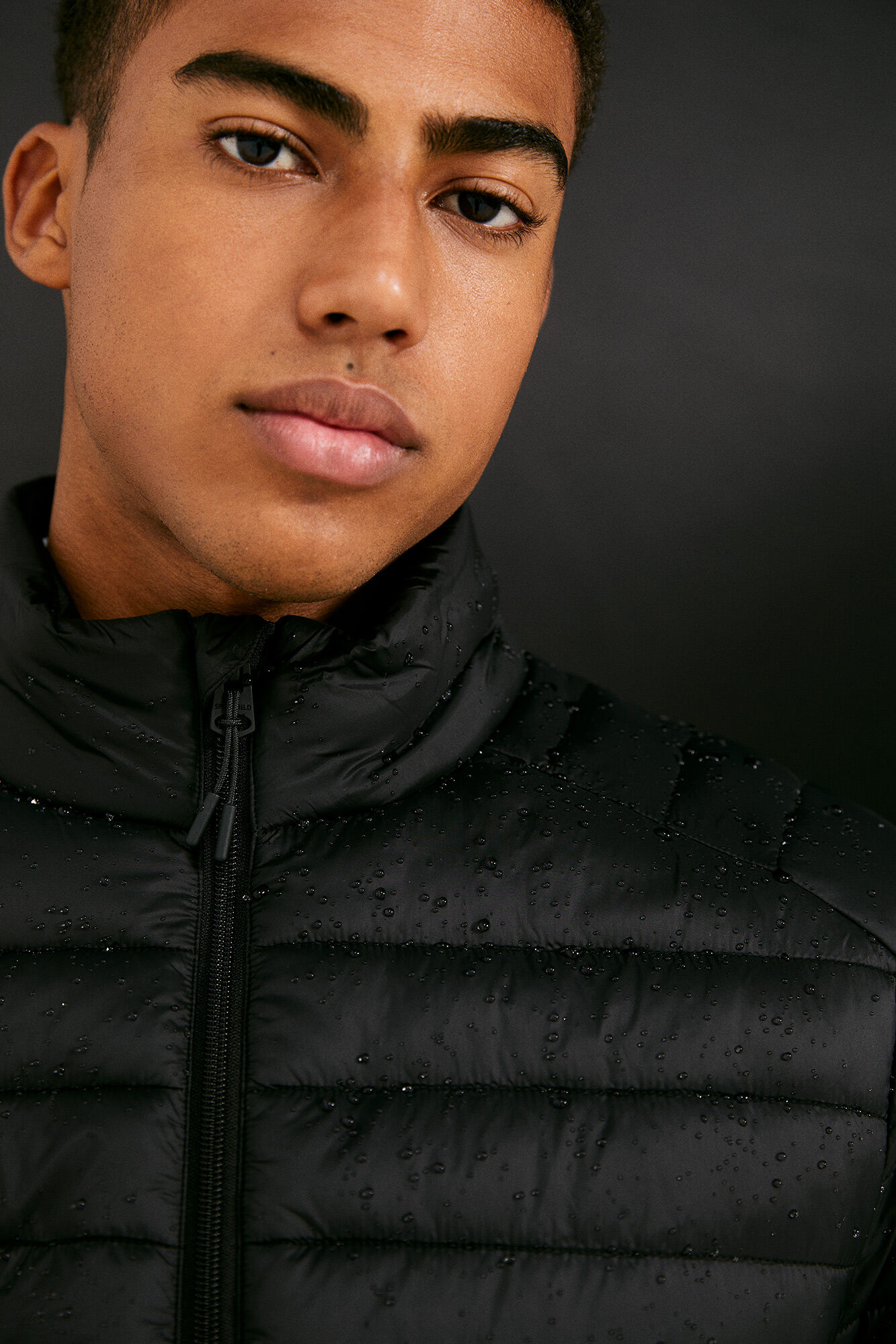 Springfield Chamarra acolchada negro