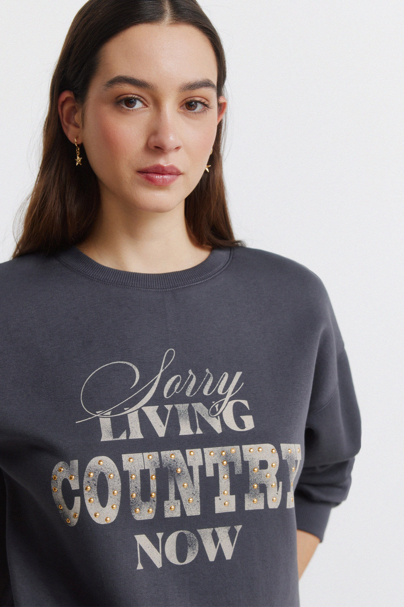 Springfield Sudadera "Country" gris