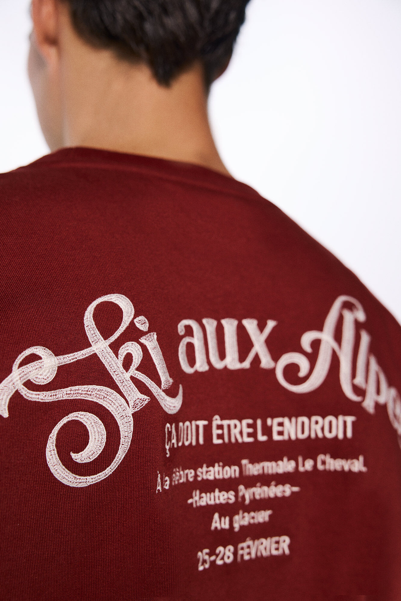 Springfield Sudadera sky Des Alpes