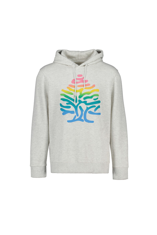 Springfield Sudadera capucha logo degradado gris