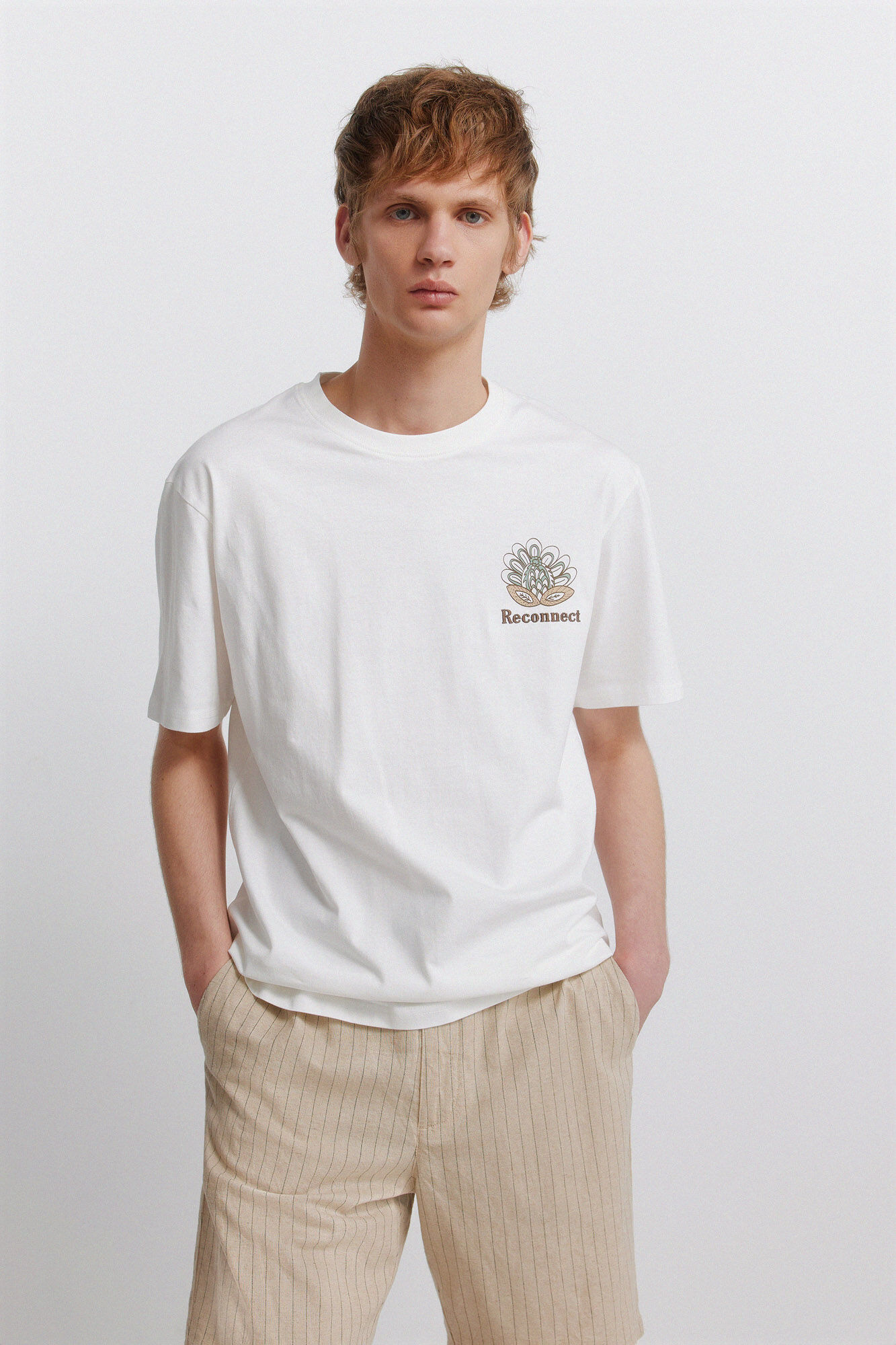 Springfield Playera Indiana