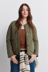 Springfield Chamarra corta acolchada verde khaki