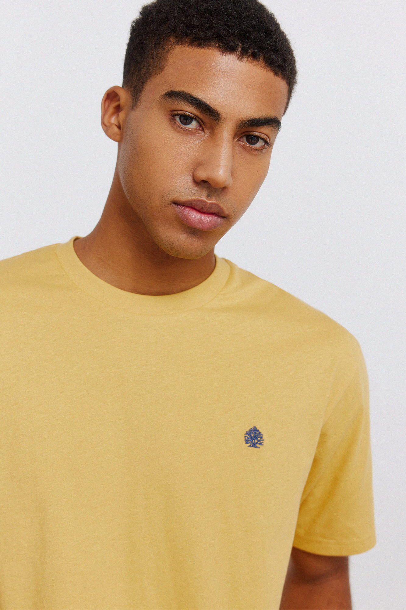 Springfield Camiseta b&aacute;sica logo Springfield