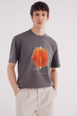 Springfield Playera Imagine Dragons gris