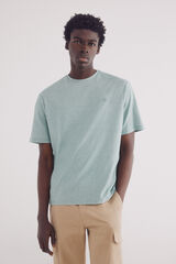 Springfield Playera microraya verde