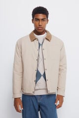 Springfield Chamarra de cuello de pana beige