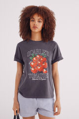 Springfield Playera "The Harvest" gris