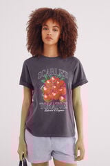 Springfield Playera "The Harvest" gris