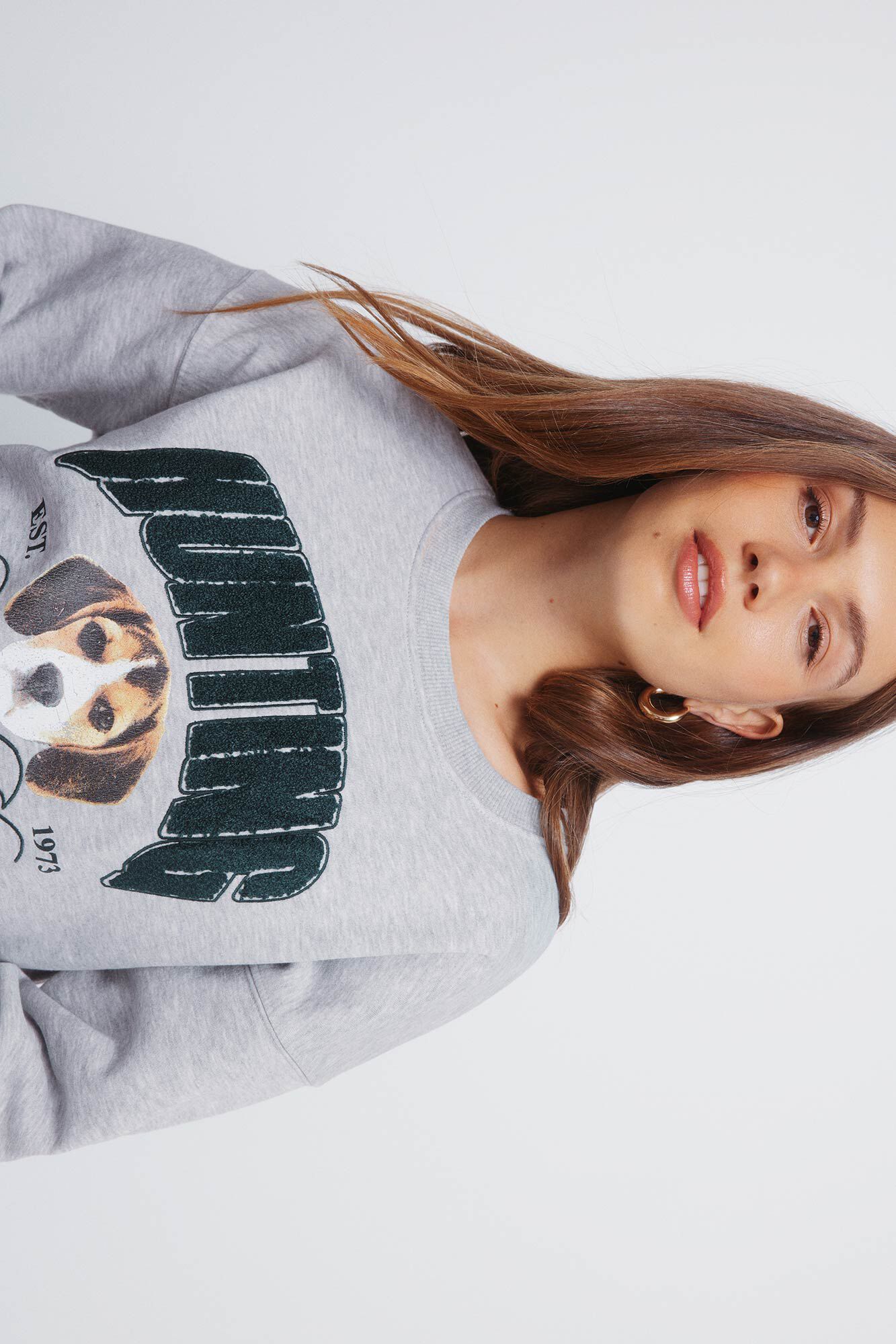 Springfield Sudadera "Hunting" gris