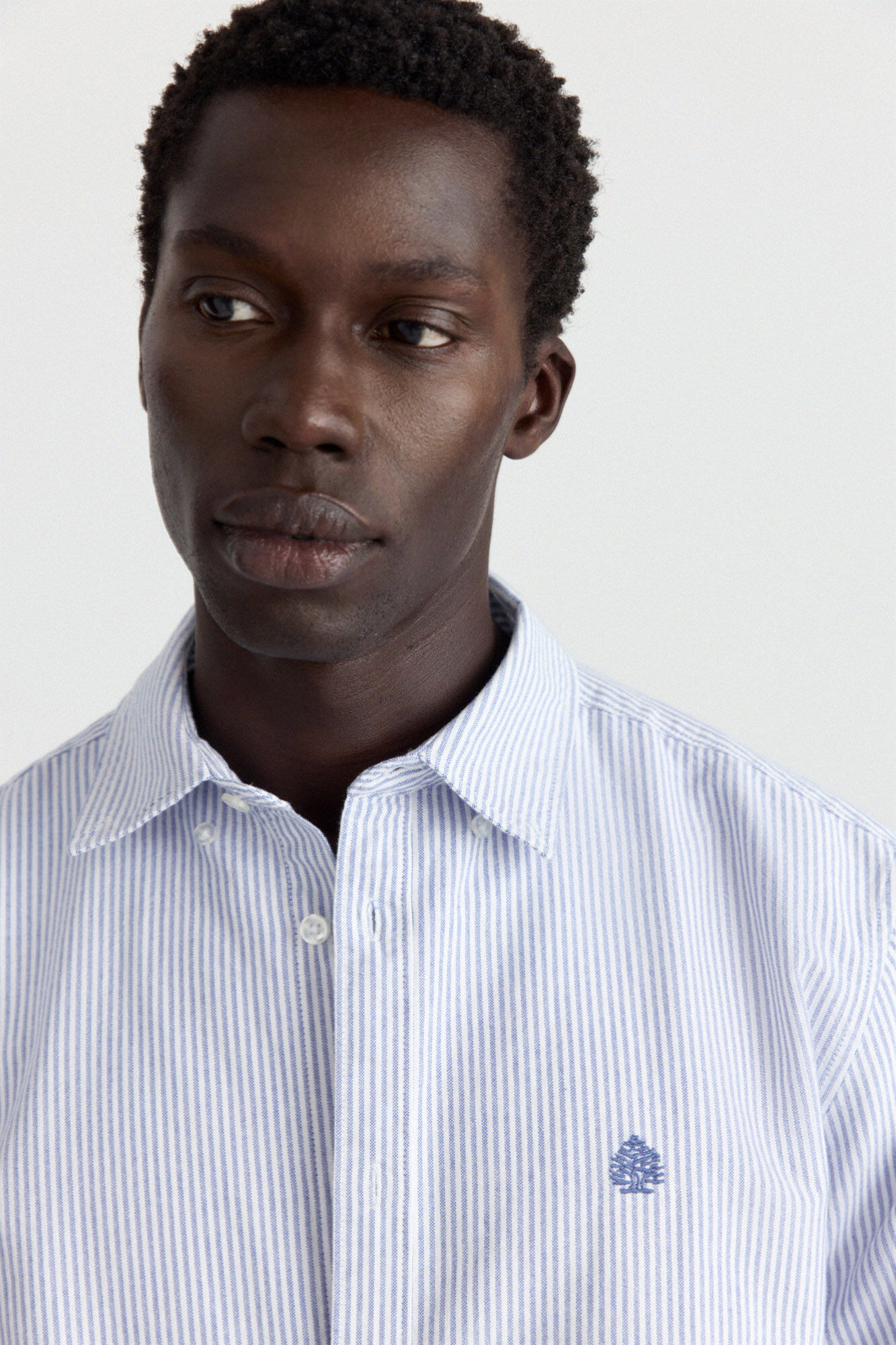 Springfield Camisa oxford de rayas azul tinta