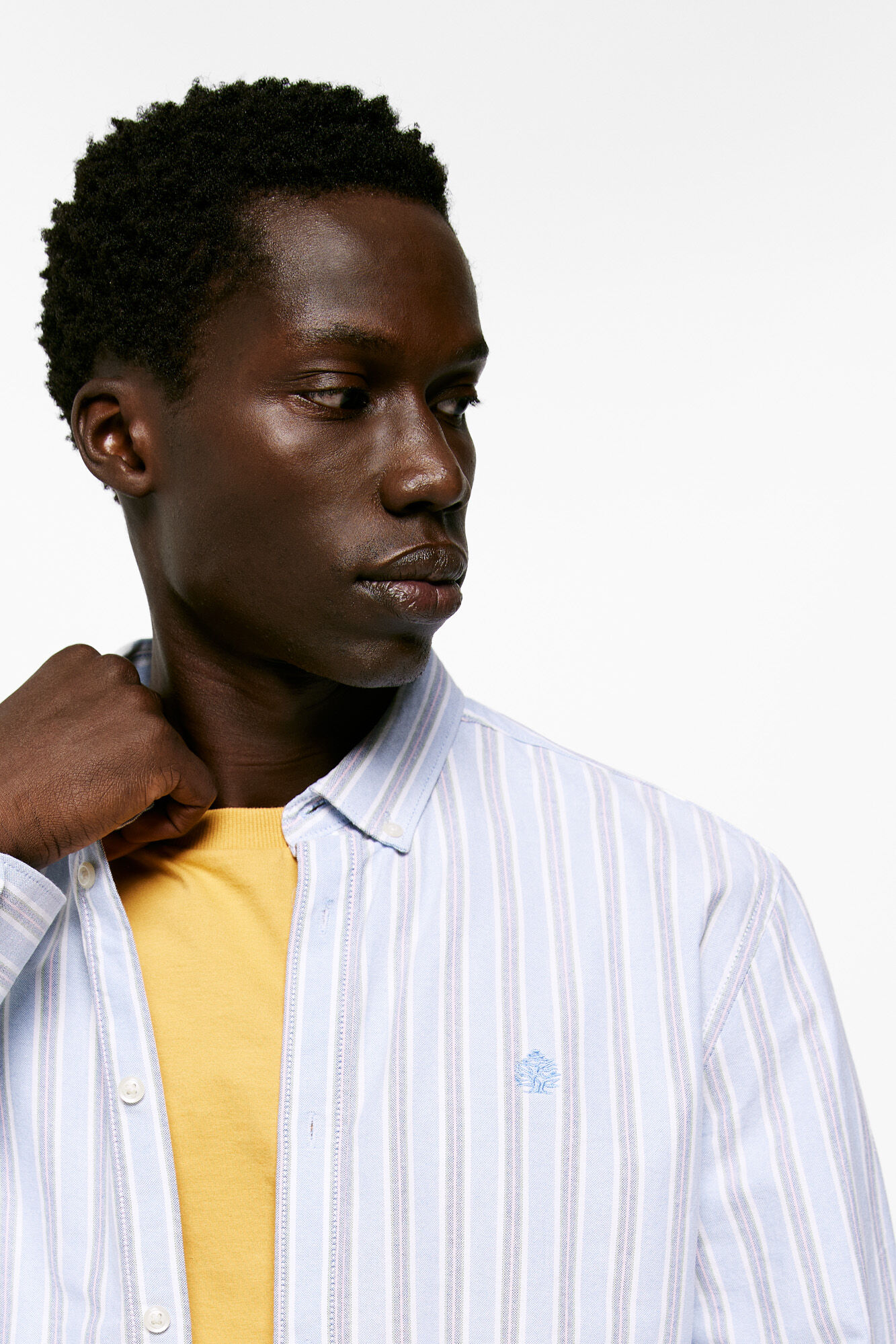 Camisa oxford deals mujer springfield