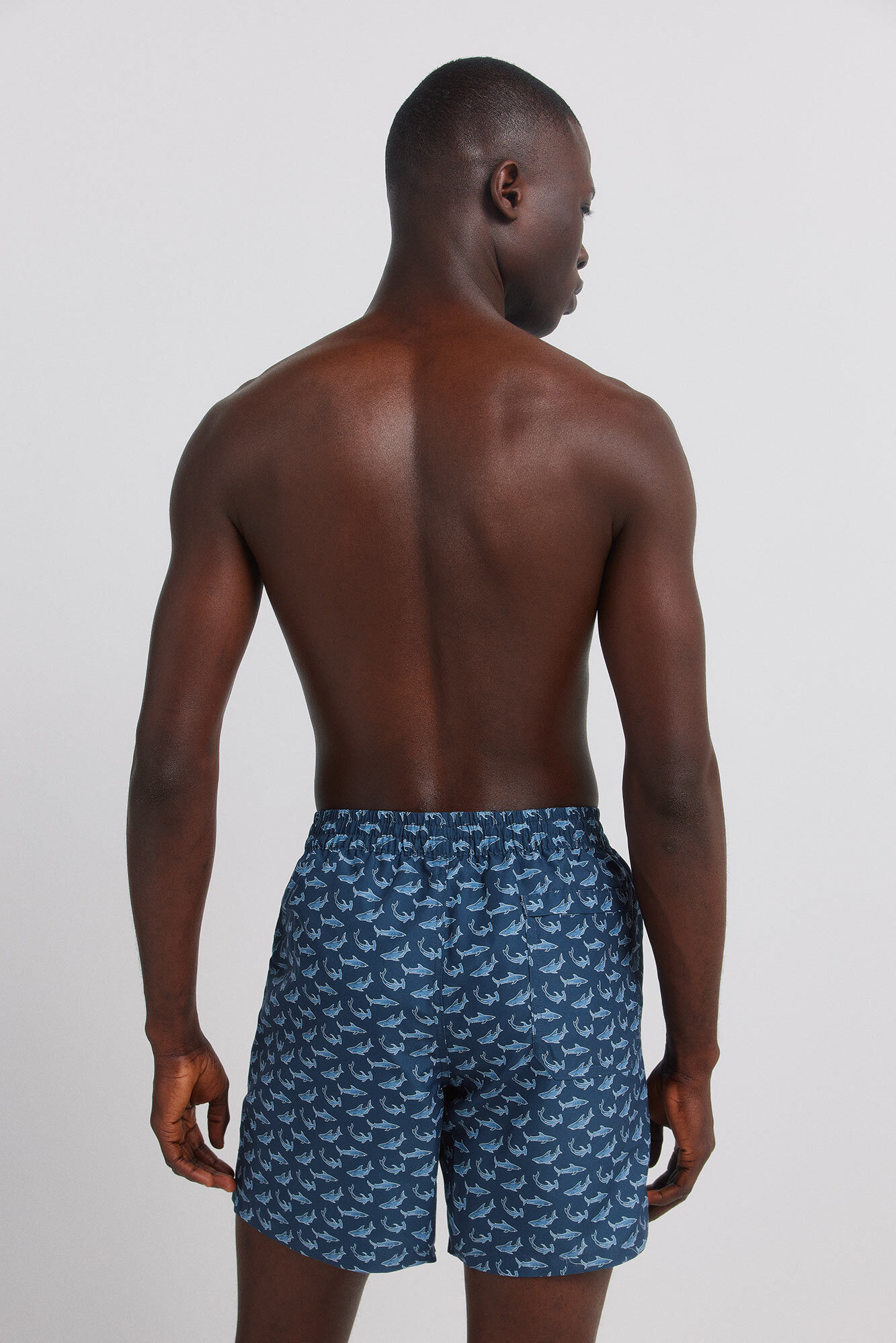 Springfield Traje de ba&ntilde;o estampado de tiburones azulado