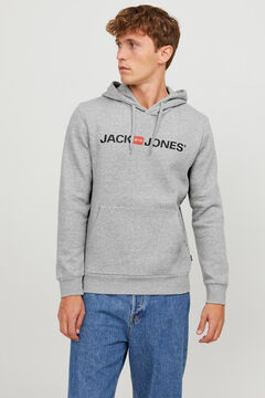 Springfield Sudadera capucha regular fit gris