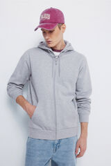 Springfield Capucha con cierre de sudadera gris