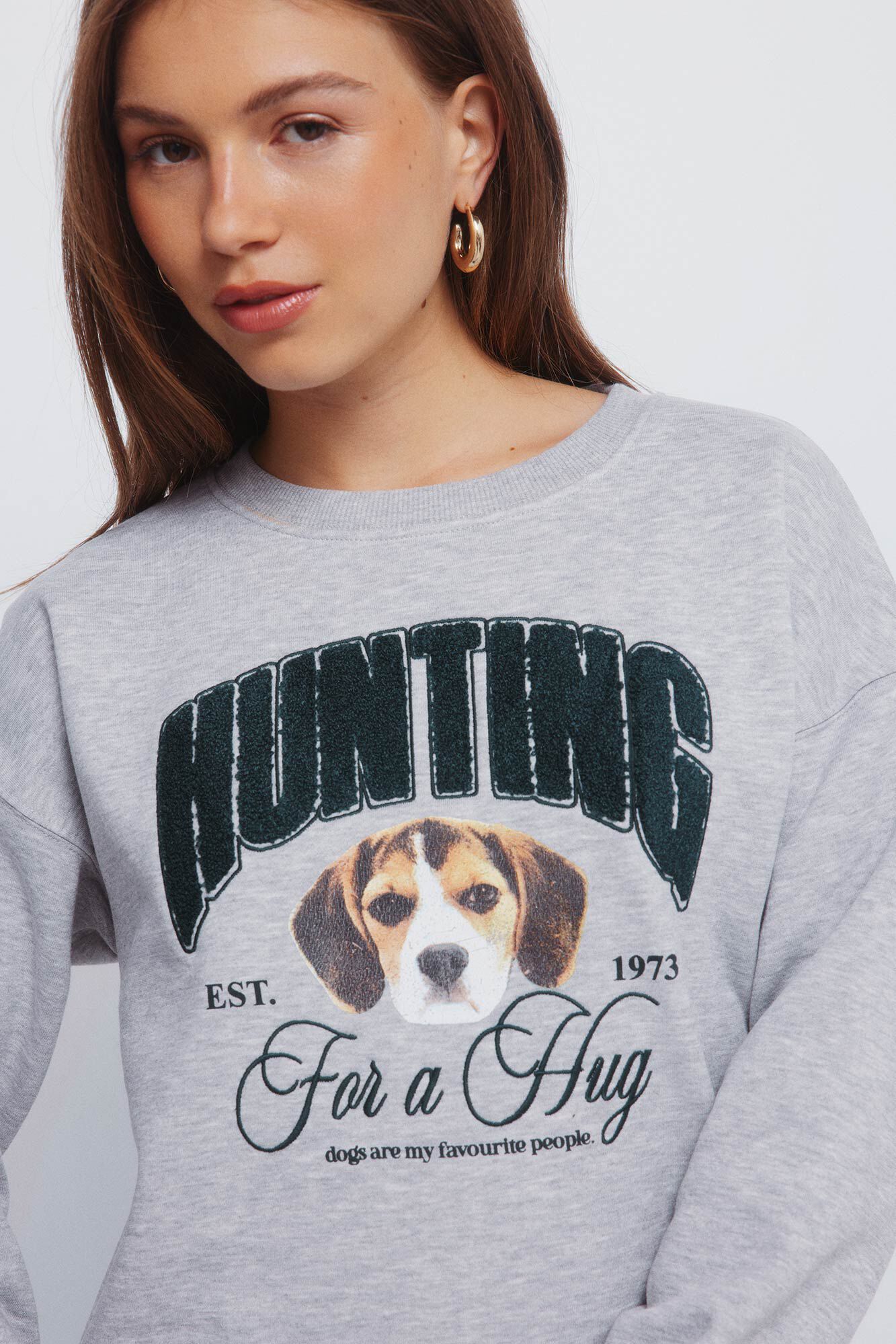 Springfield Sudadera "Hunting" gris