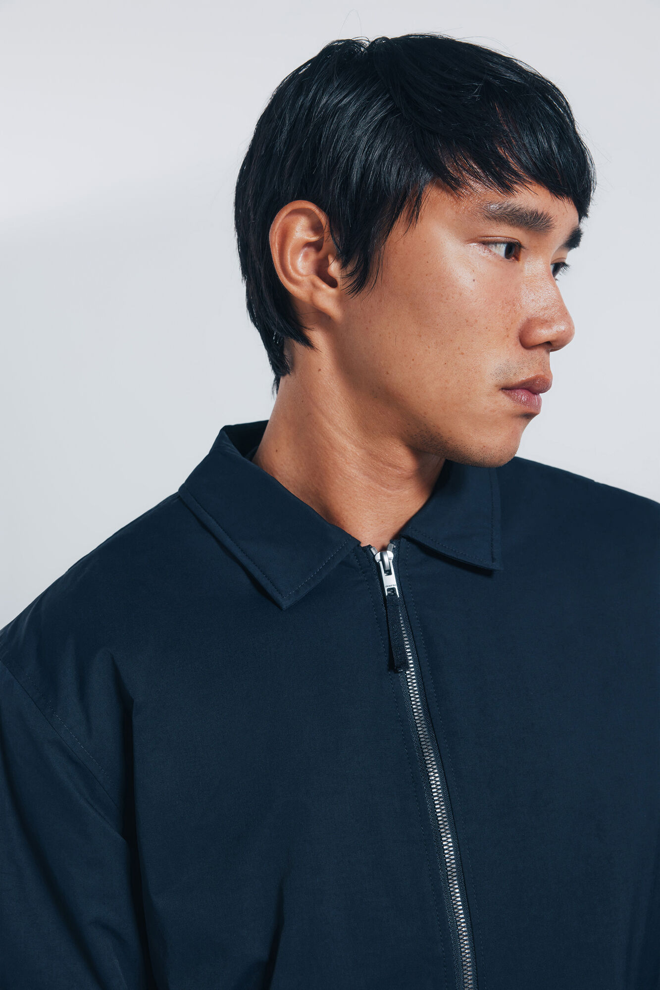 Springfield Chamarra acolchada aviador