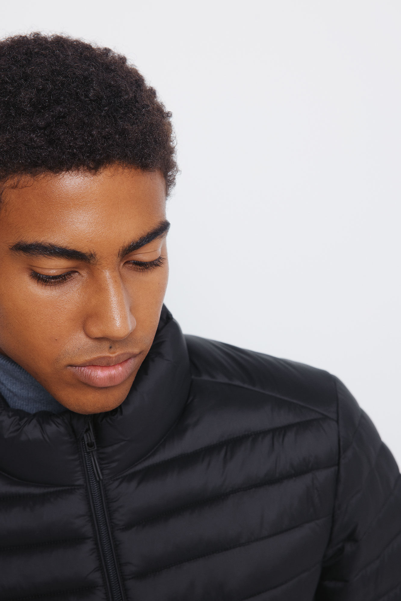 Springfield Plum&iacute;fero