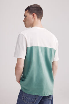 Springfield Playera color block verde