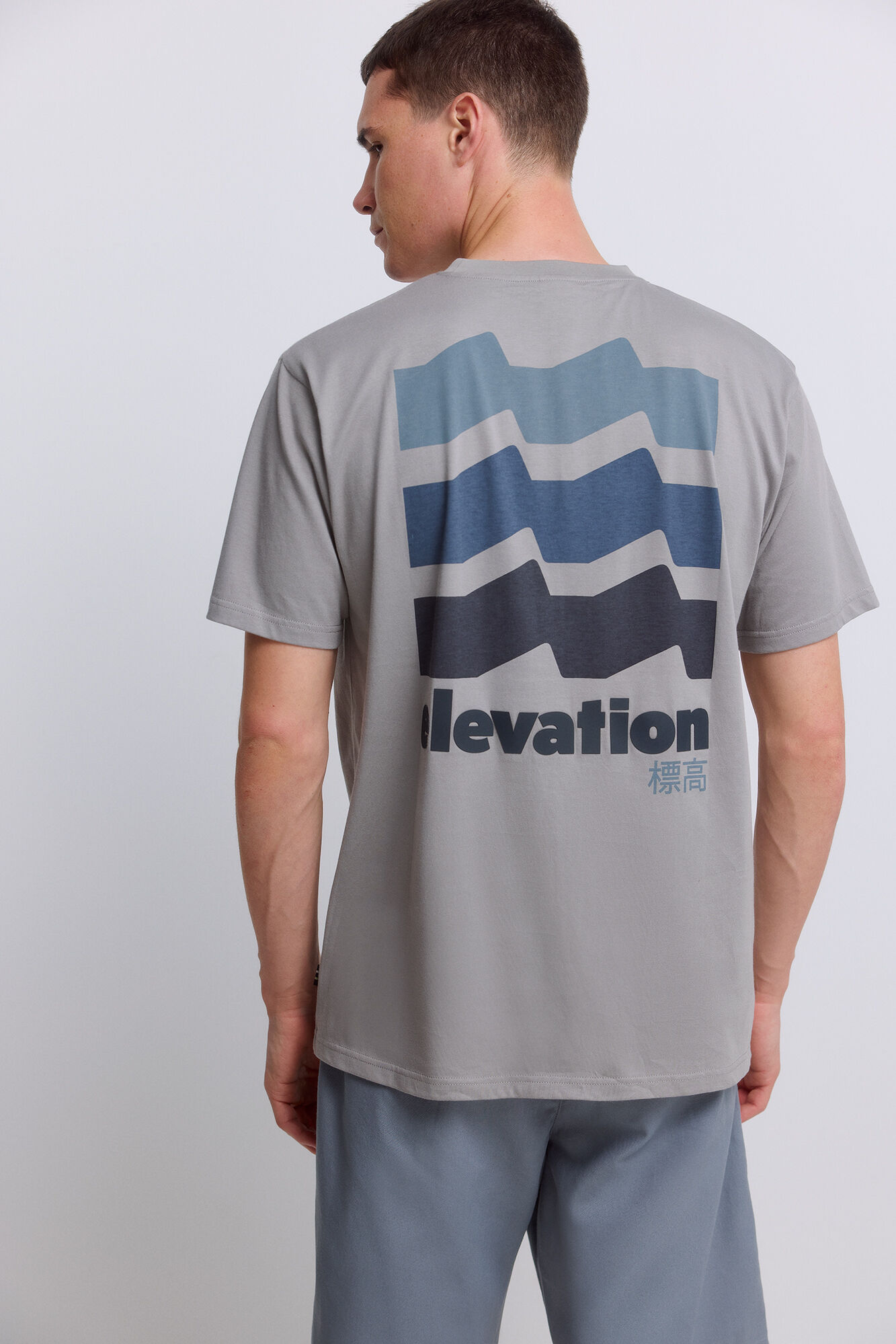 Springfield Playera elevation