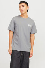 Springfield Playera estándar fit gris