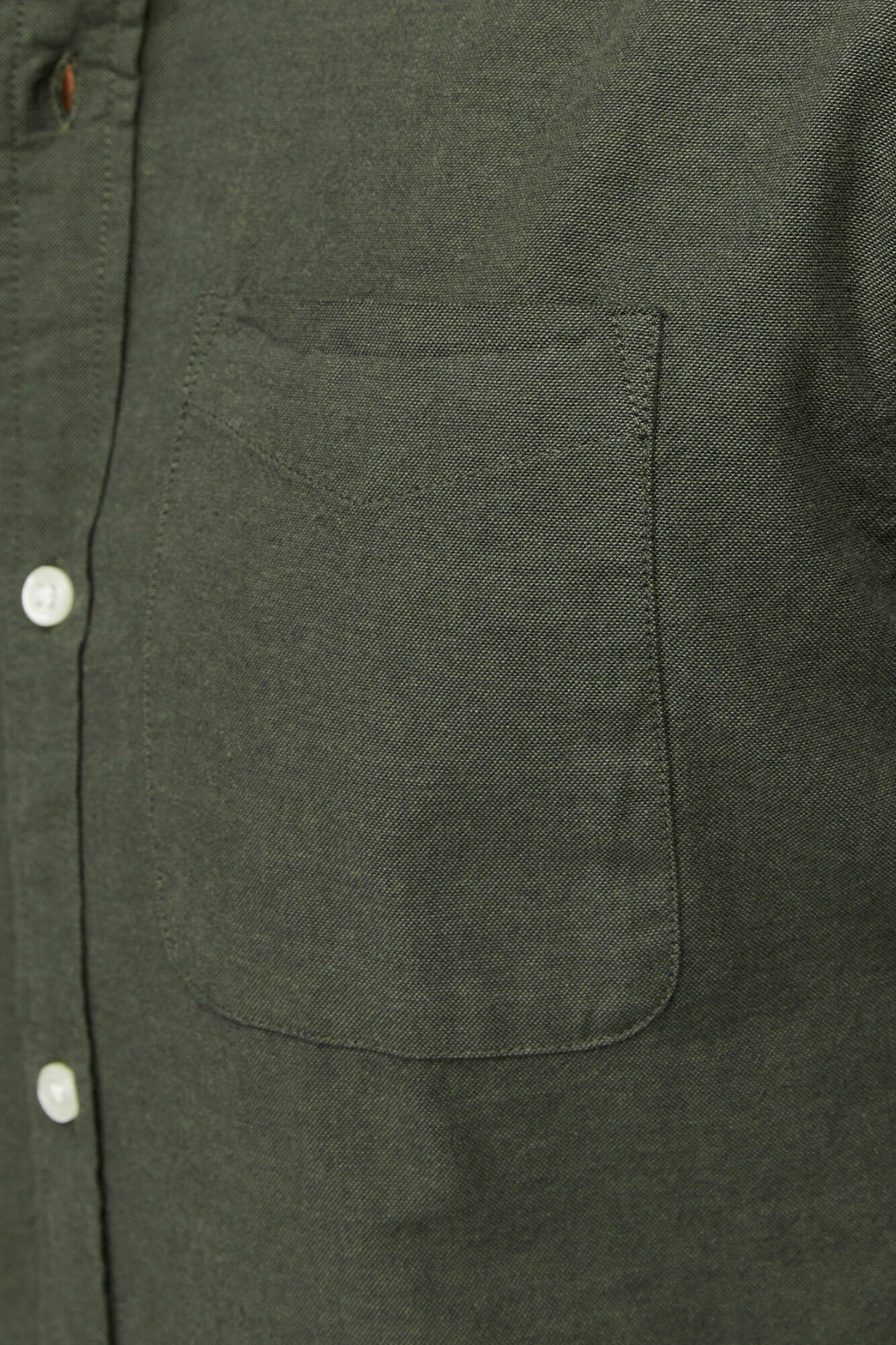 Jack & Jones Camisa oxford de algod&oacute;n verde